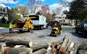Best Lawn Pest Prevention  in Colma, CA